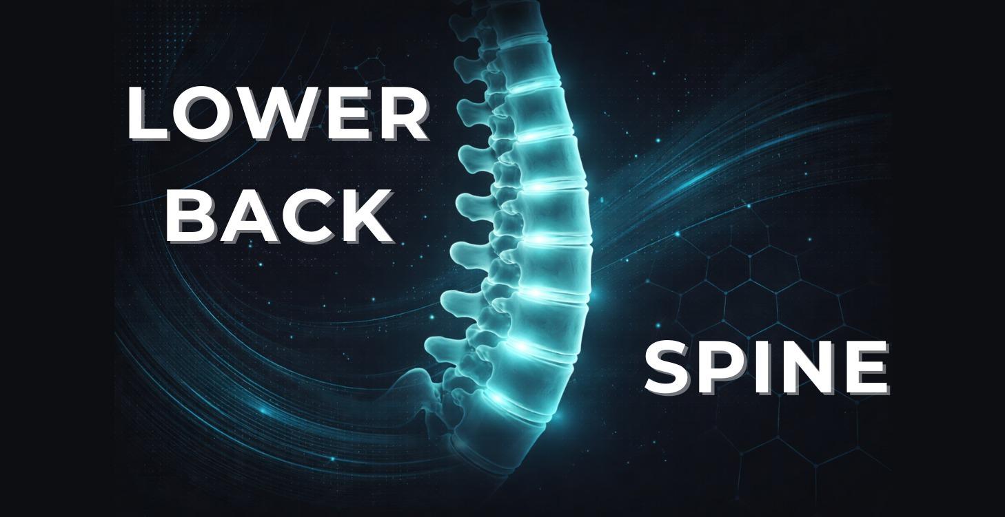 Lower Back & Spine