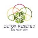 DETOX RESETEO SÙMMUM