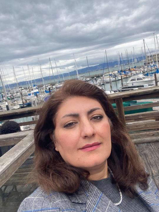 Bahar Shemshadi