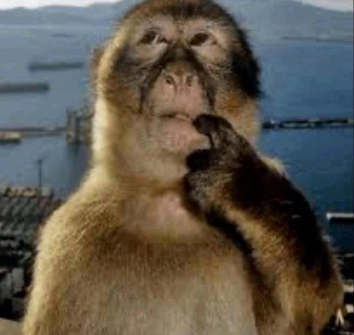 I like to Gather information