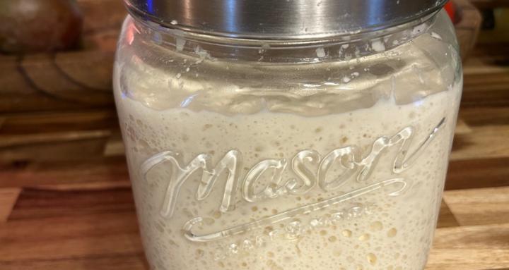 Sourdough with “Fred”