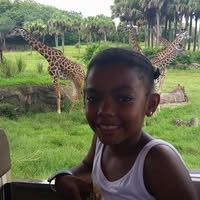 Alexandra Palacios Llorente