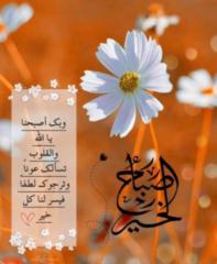 Hiba Hashim Mohamed Ali