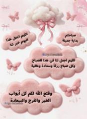 Hiba Hashim Mohamed Ali