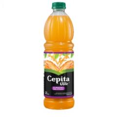 Ramiro Chávez Ortega