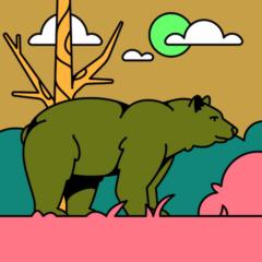 Jon Worki
