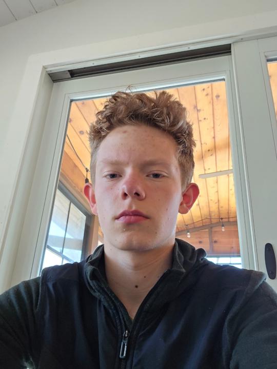 Logan McAdams