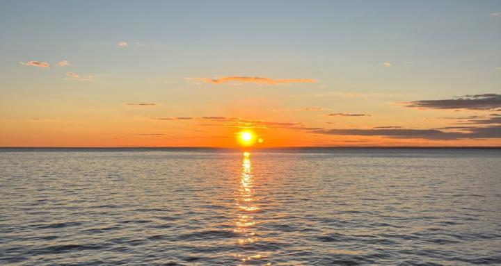 The Calm C.E.O. Suite