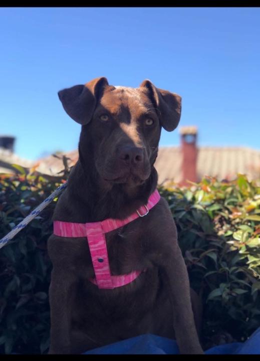 Natalia Emayuzanatalia