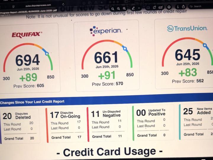 Credit repair results