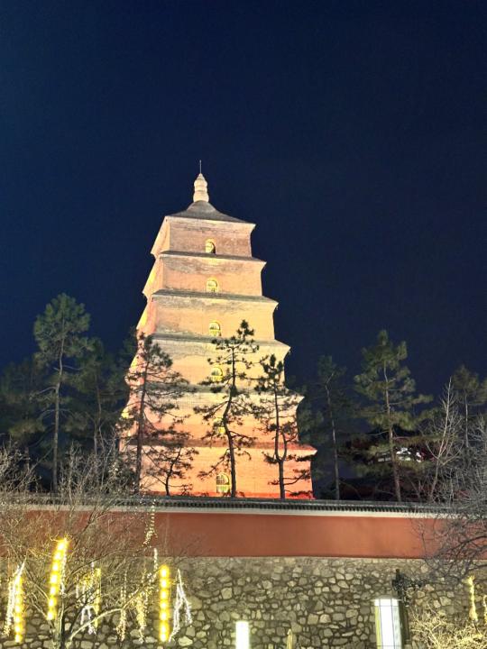 Baasanjargal Baasanjargal