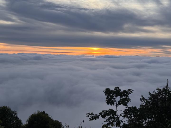 Creación de Audio y Apps 