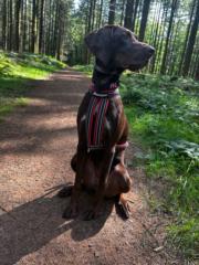 Rebecca Rommelfangen