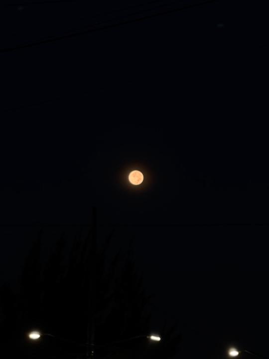 Israel Luna