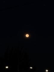 Israel Luna