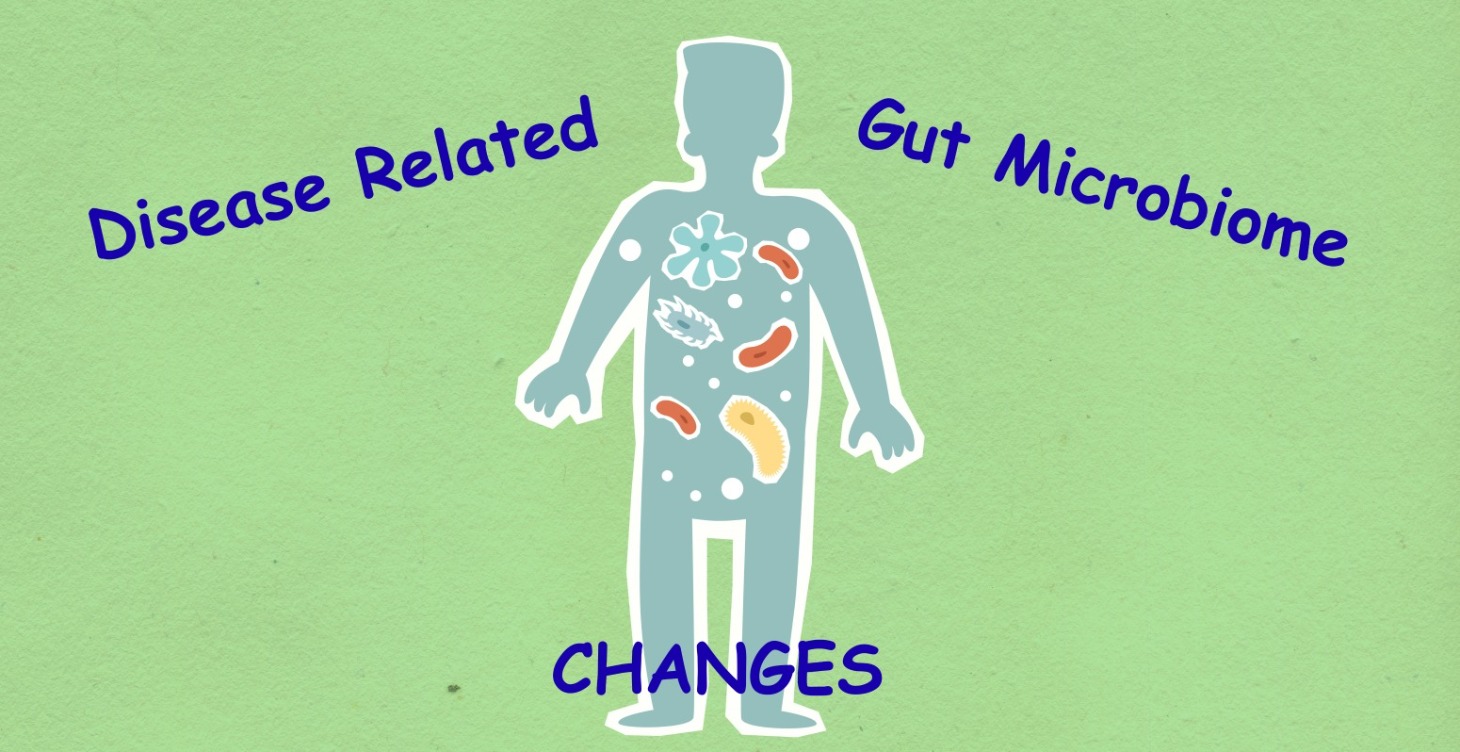 Disease Related Gut Microbiome Changes