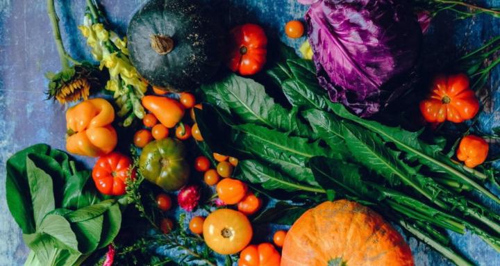 Holistic Health Warriors