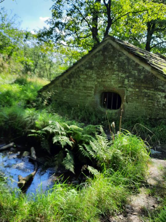 When you feel connected 