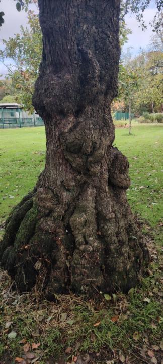 Free -TARC EFT Mini Course