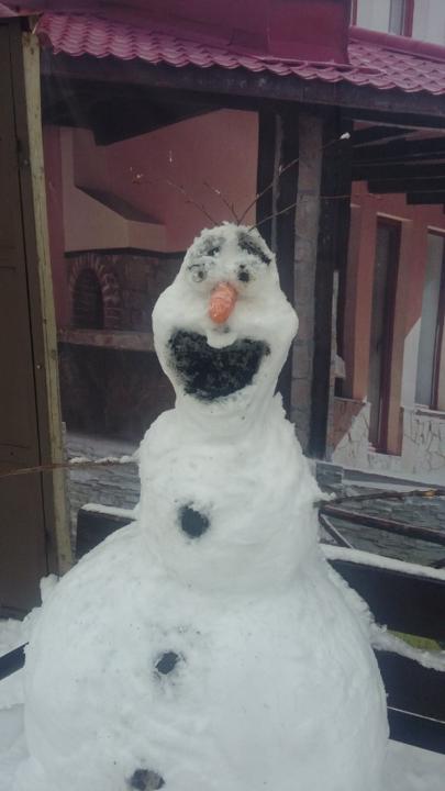 Вилтория Дъбова