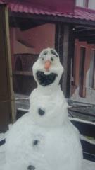 Вилтория Дъбова