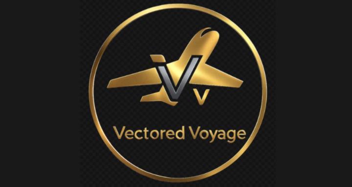 Vectored Voyage-Aviation Pros