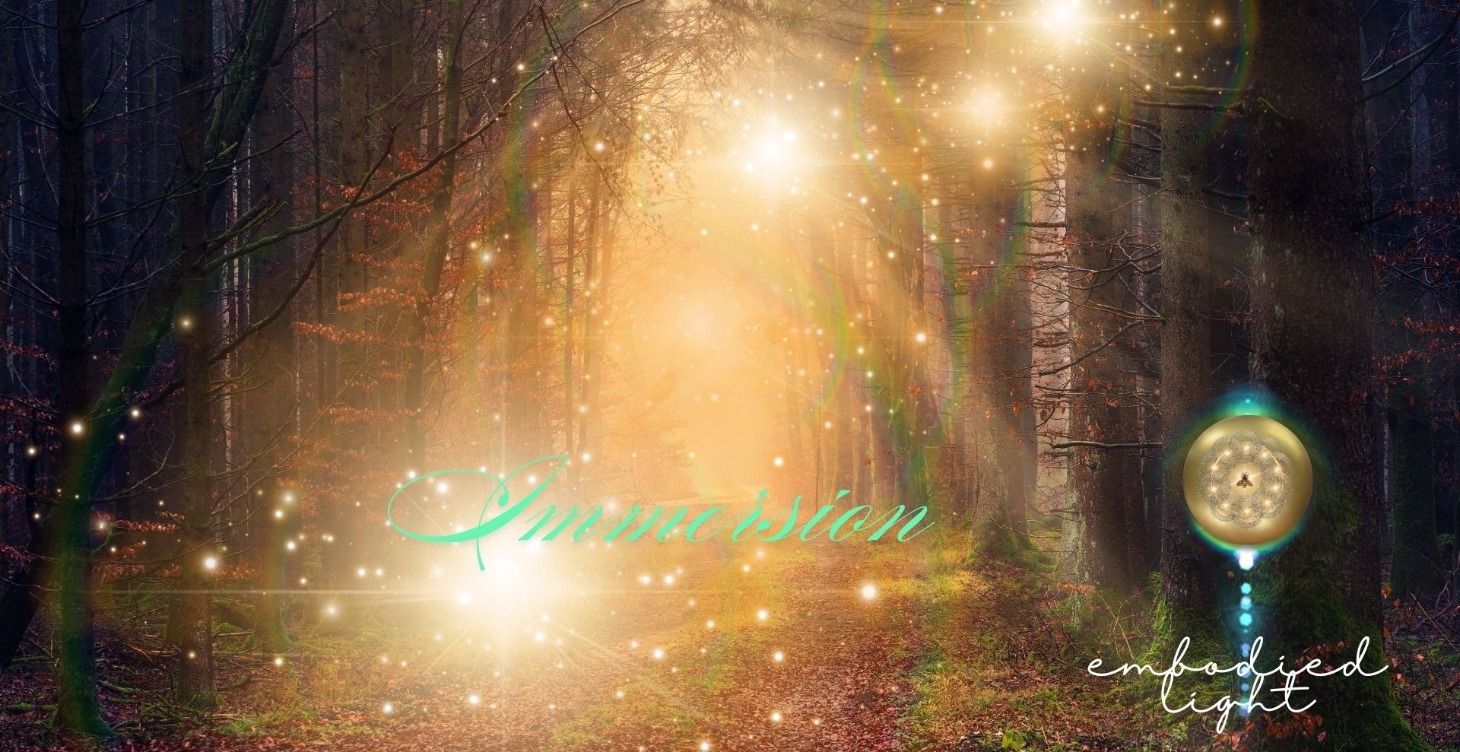 Embodied Light