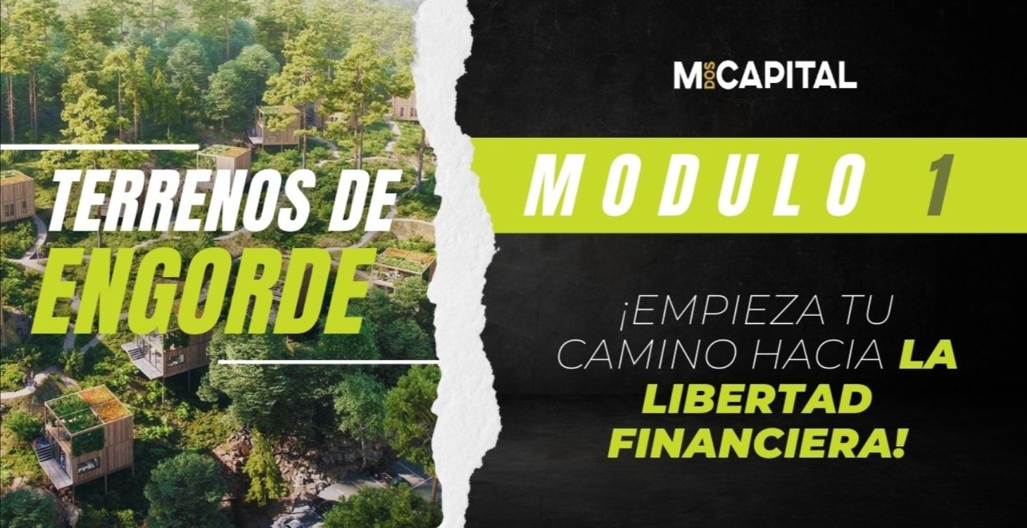 MÓDULO 1