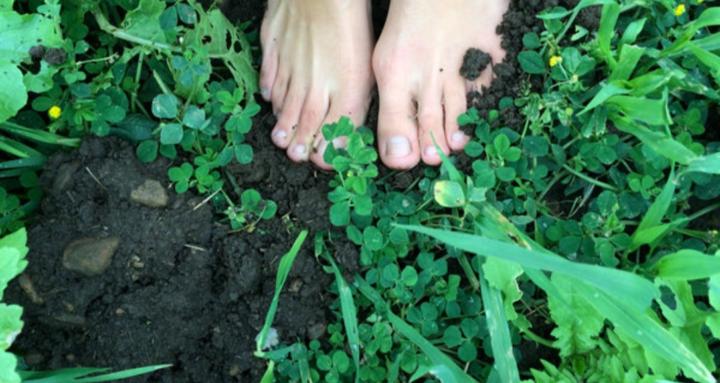 Medicine at Your Feet