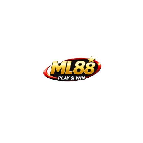 Ml Biz