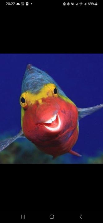 Salah eddine Boujniun