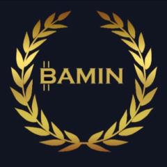 Babak Amin