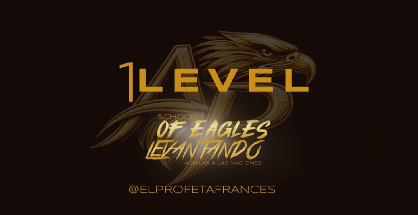 LEVEL 1