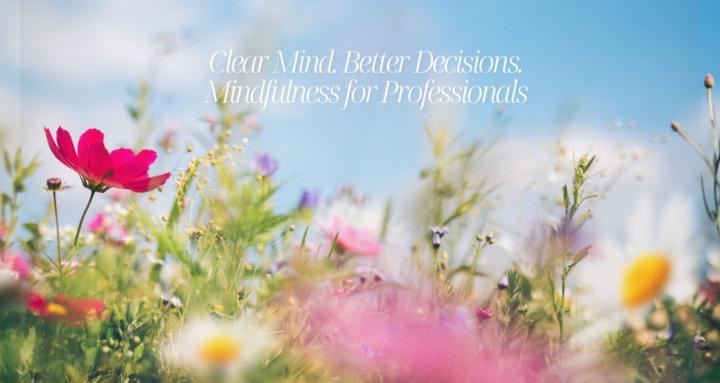 Mindfulness for professionals