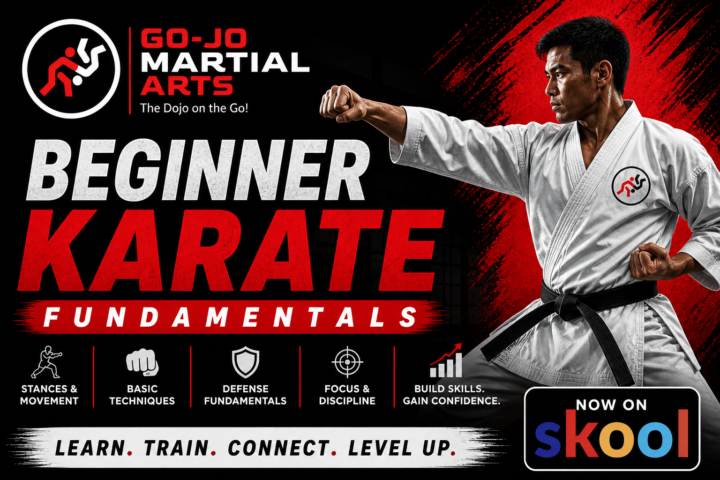 Karate for Beginners is now available!