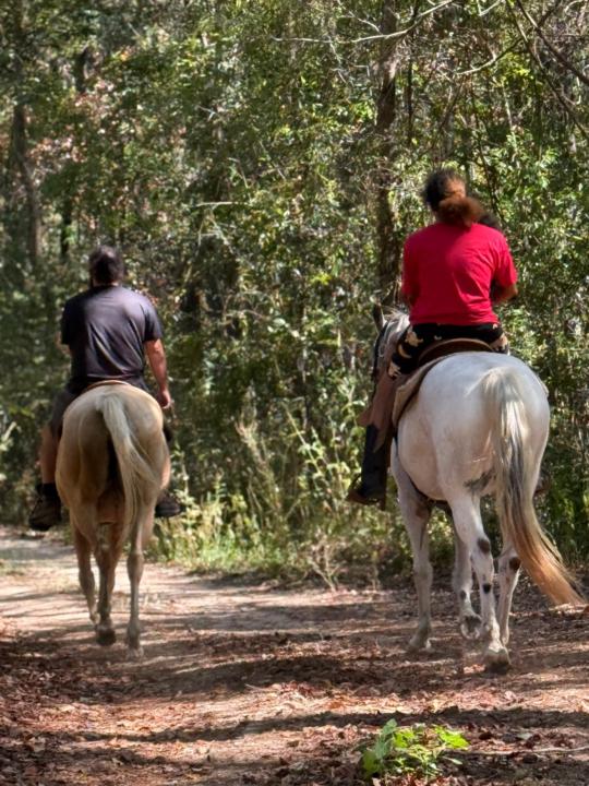 Fernando Fidalgo-Damiani