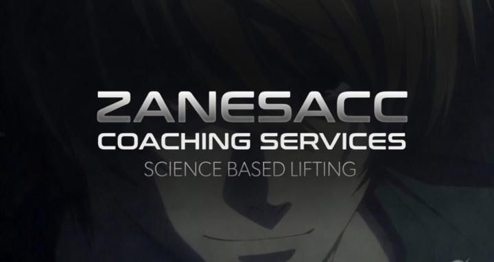 zanes' sbl coaching