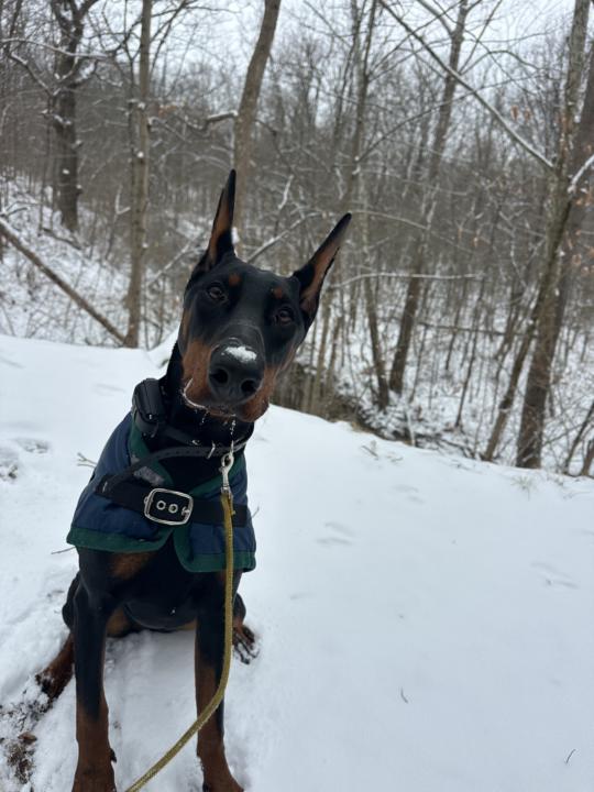 Making the best out of more snow