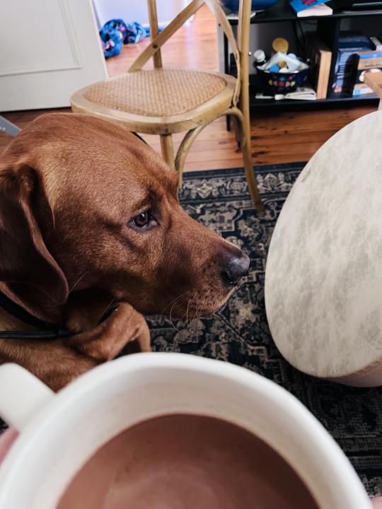 What are unusual things you do with your dog? 