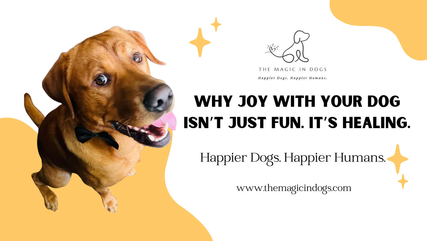 The Magic in Dogs