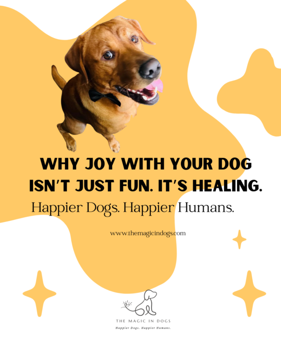 Link to new video ✨