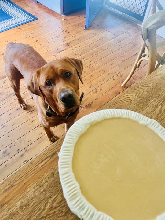 Baking time