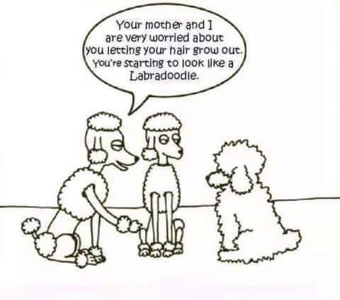 Ha, ha... heaven forbid!