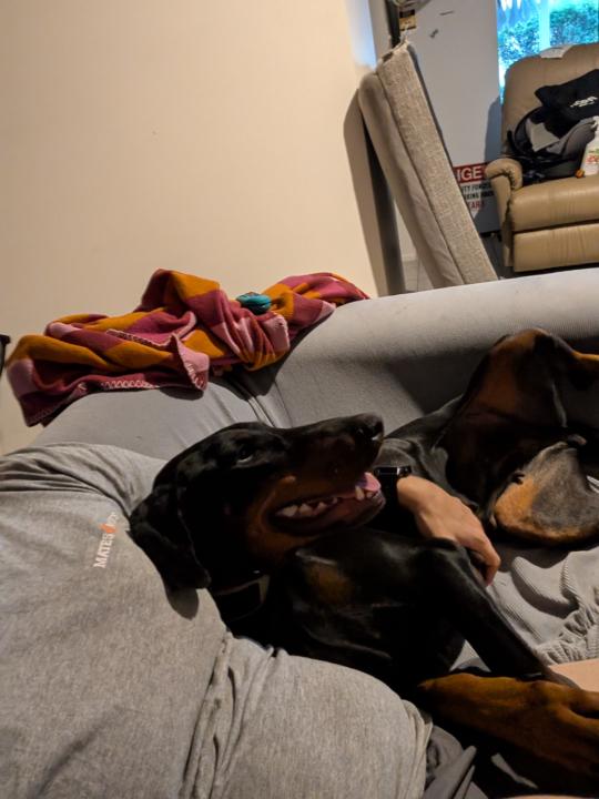 Post training cuddles