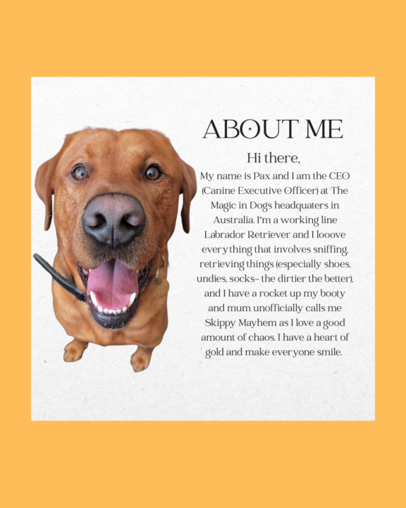 ☀️ Welcome to the Community Circle!