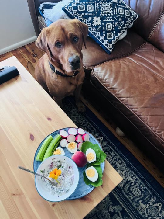 Garden lunch with my bestie