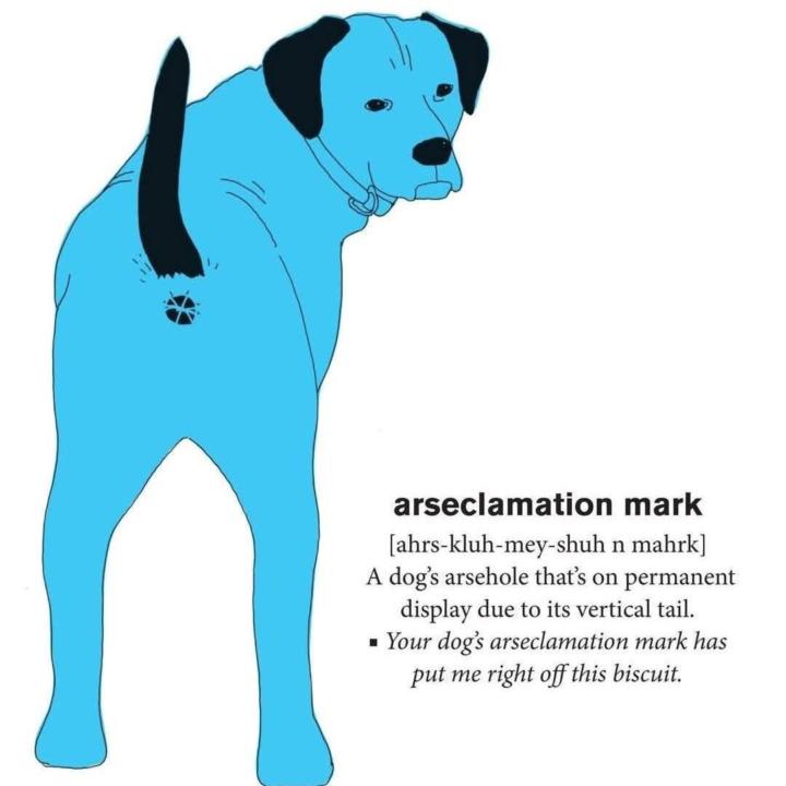 Dog punctuation 😂