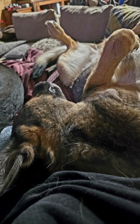 Sleepy Diva