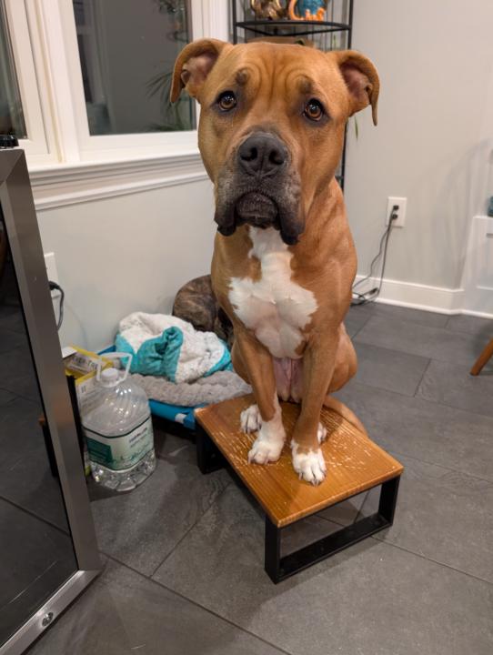 Joy in the silly moments