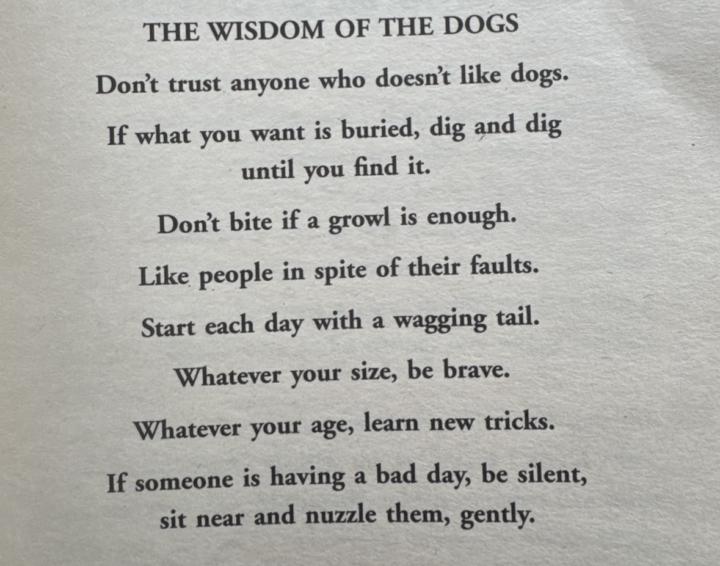 Wisdom of dogs